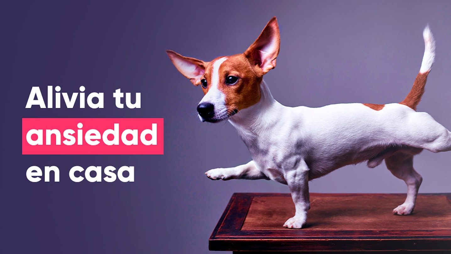 guia para aliviar estres y ansiedad en casa