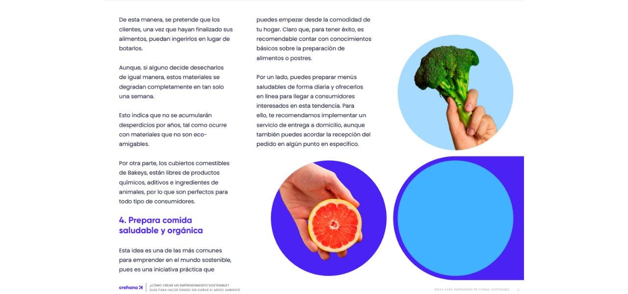 Guía sobre emprendimiento sostenible: creando marcas que aportan al medio ambiente