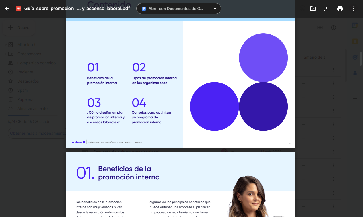 ebook promocion interna