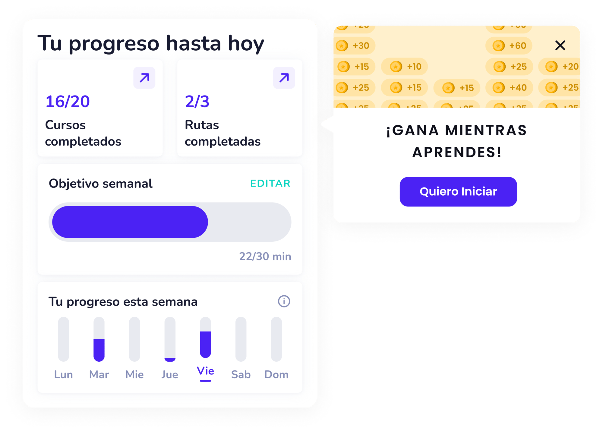 Experiencia de aprendizaje (LXP)